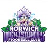 Norwich Nightshades Floorball logo design - paul kirk design
